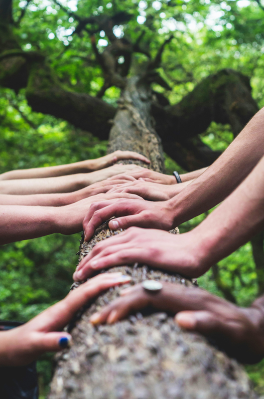 hands on a tree branch